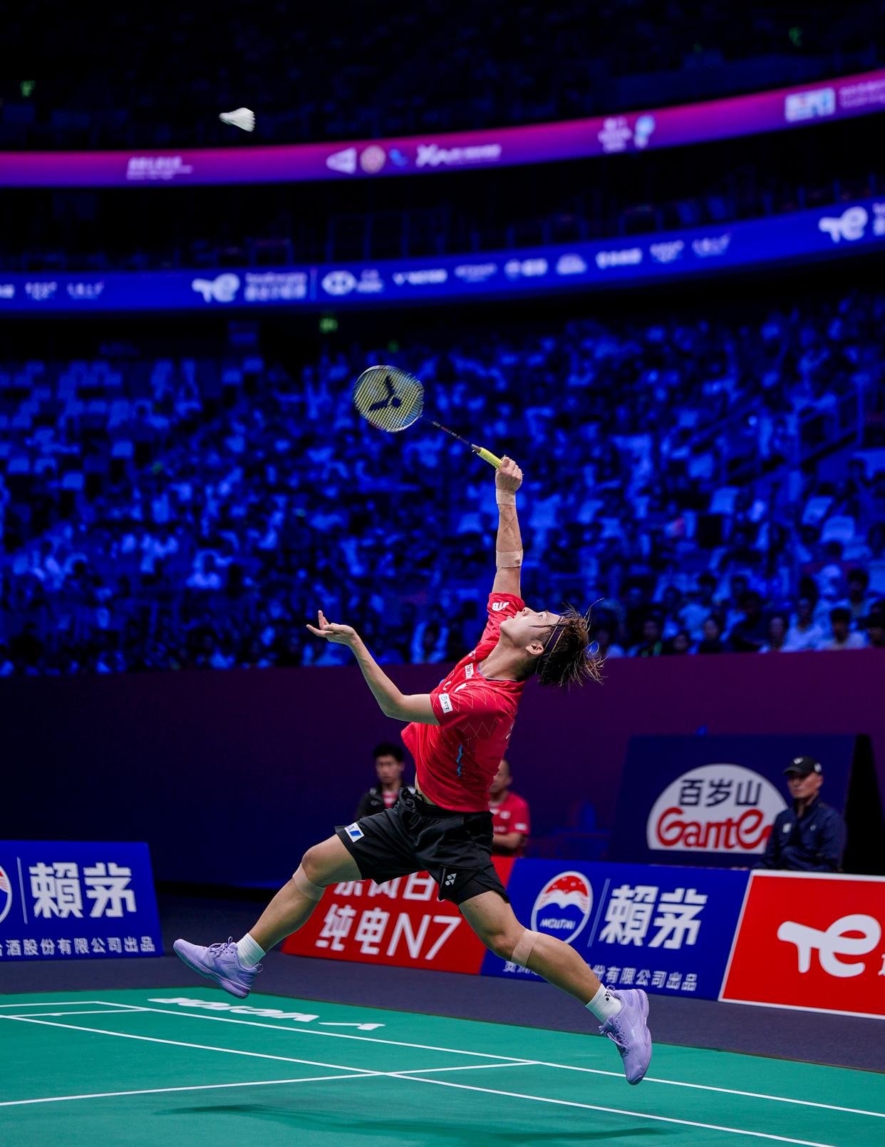 关于日本羽毛球队绝地反击法国羽毛球队，马琳制霸全场的信息