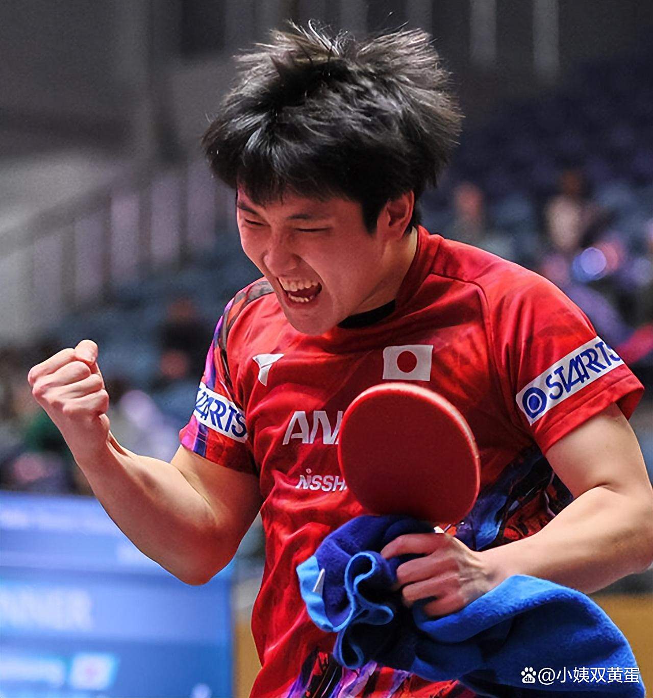 德国乒乓球队轻取韩国乒乓球队,张本智和打破历史纪录的简单介绍 德国乒乓球队轻取韩国乒乓球队,张本智和打破历史纪录的简单介绍