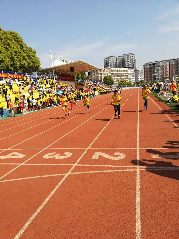 开云体育APP下载-里昂团结拼搏，追赶脚步持续迅猛的简单介绍