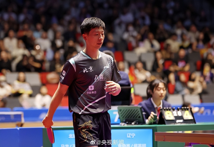 法国队力克波兰队，马龙高光表现的简单介绍