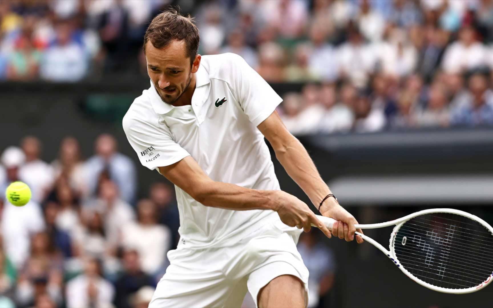 美网完胜温网，梅德韦杰夫点燃赛场的简单介绍