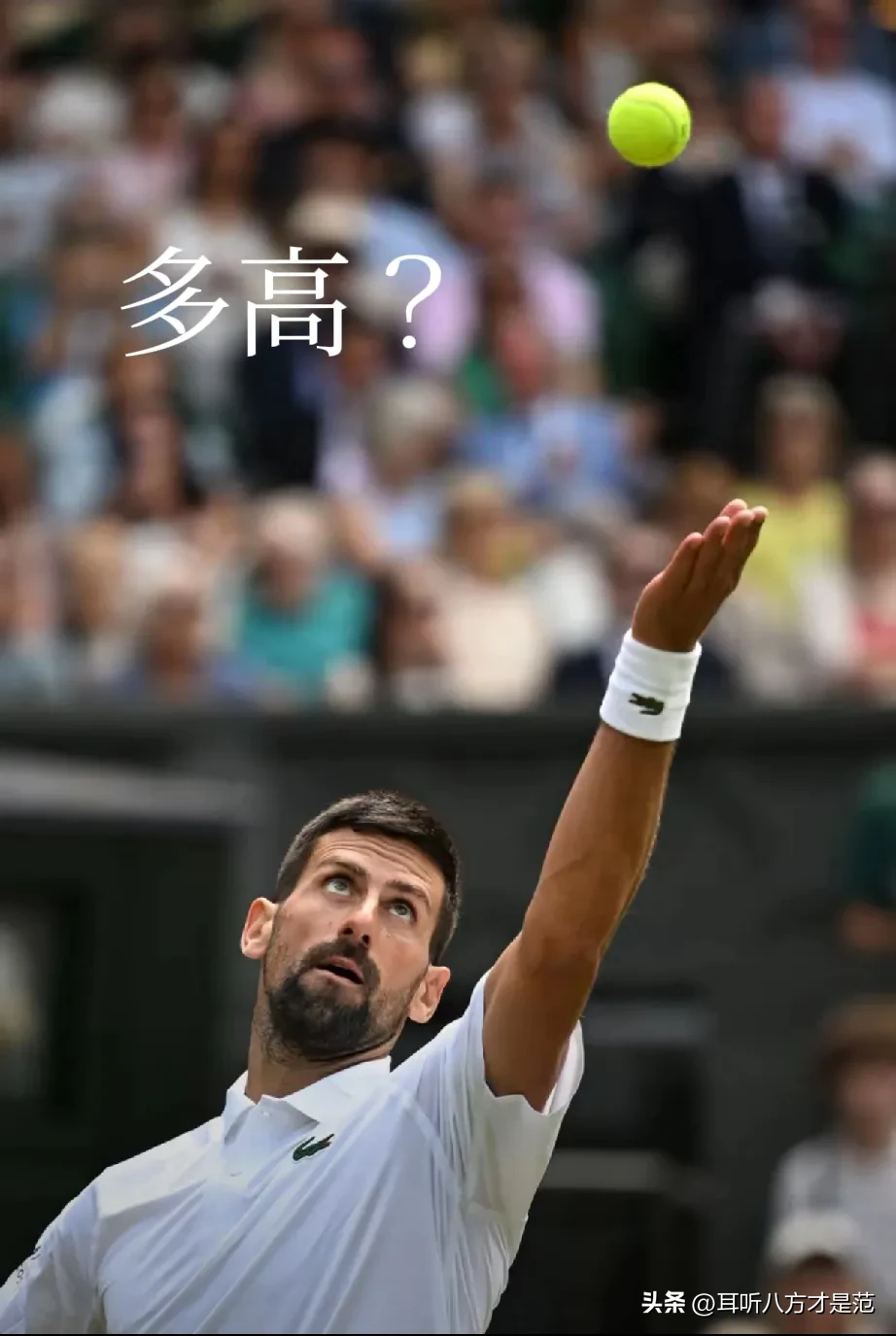 开云体育下载-法网鏖战温网，德约科维奇关键制胜