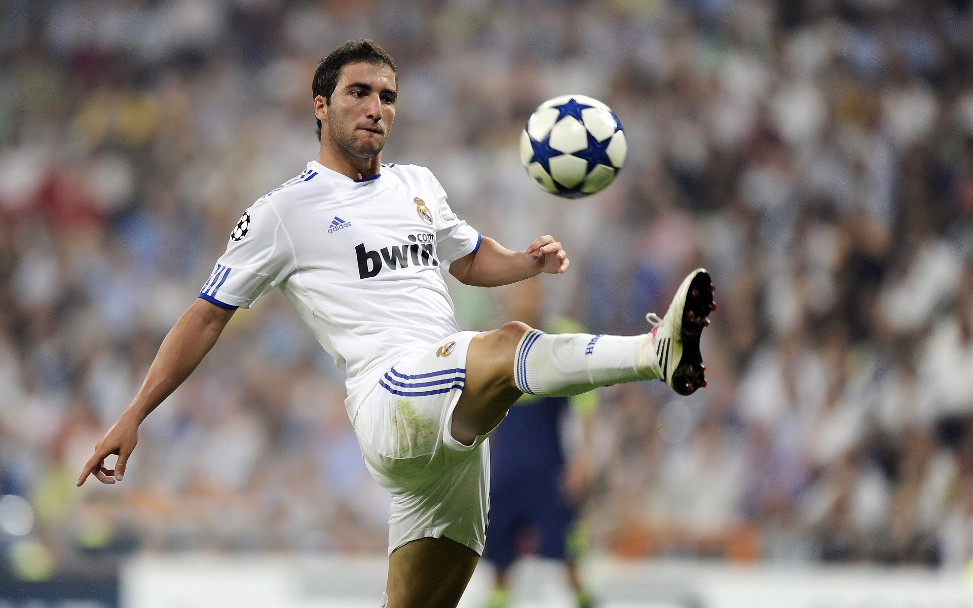 羊城鏖战,巨人觉醒,王哲林统治全场记